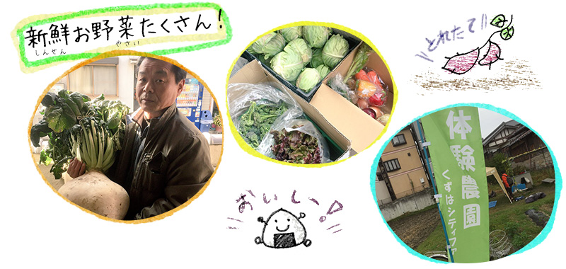 新鮮お野菜たくさん！